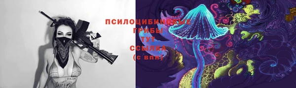 jwh Алзамай