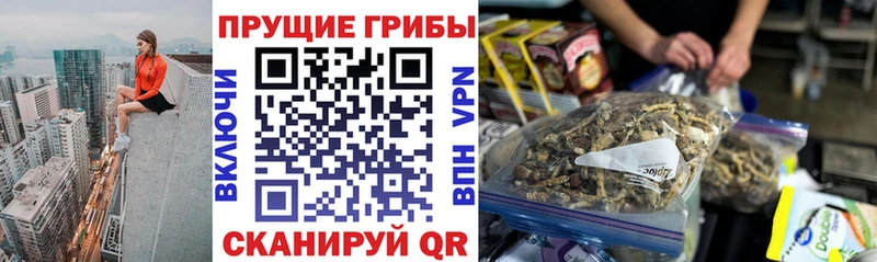 Псилоцибиновые грибы прущие грибы  наркота  Тосно 